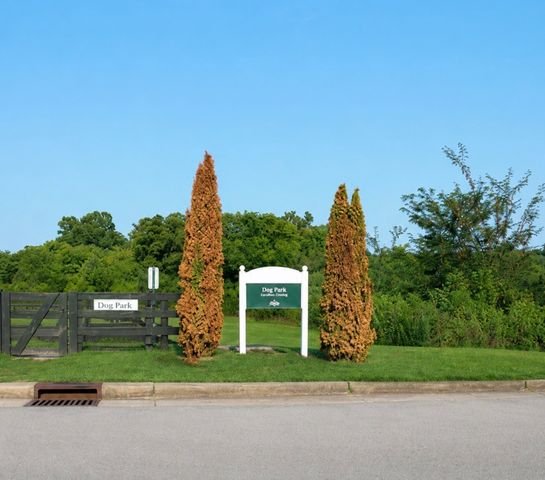 820 Goswell Dr, Nolensville, TN 37135
