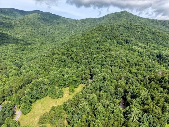 3609 Fodder Creek Road, Hiawassee, GA 30546