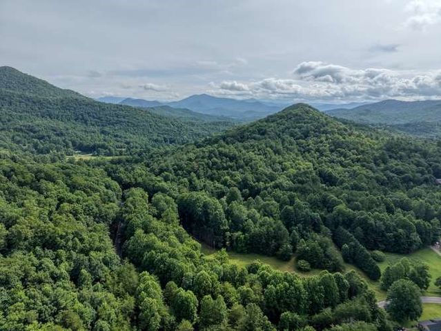 3609 Fodder Creek Road, Hiawassee, GA 30546