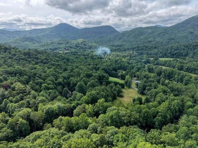 3609 Fodder Creek Road, Hiawassee, GA 30546