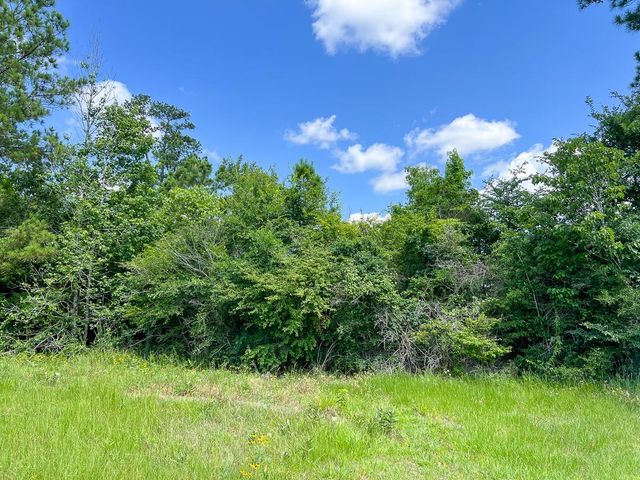 12 Rec Road 255, Colmesneil, TX 75938