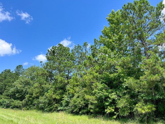 12 Rec Road 255, Colmesneil, TX 75938