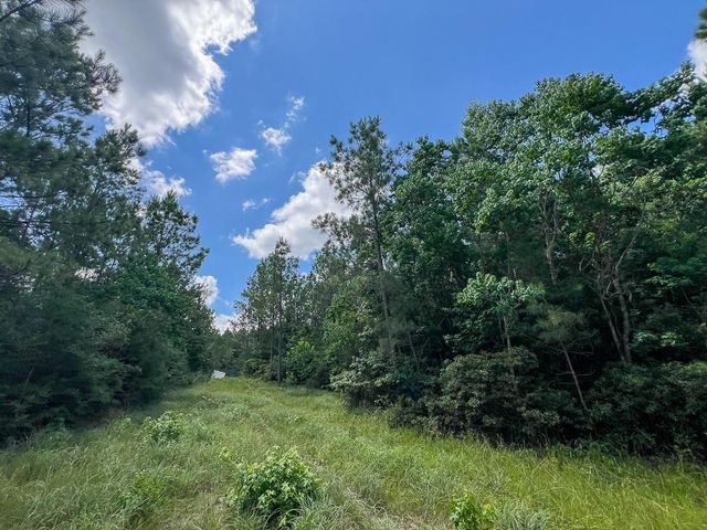 12 Rec Road 255, Colmesneil, TX 75938