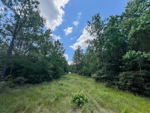 12 Rec Road 255, Colmesneil, TX 75938