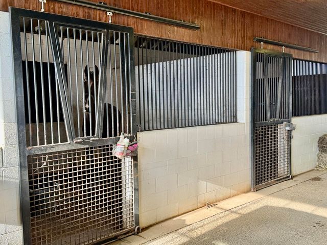 3360 Shannon Run Road, Versailles, KY 40383