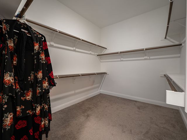 7005 Royal View Drive, Mckinney, TX 75070