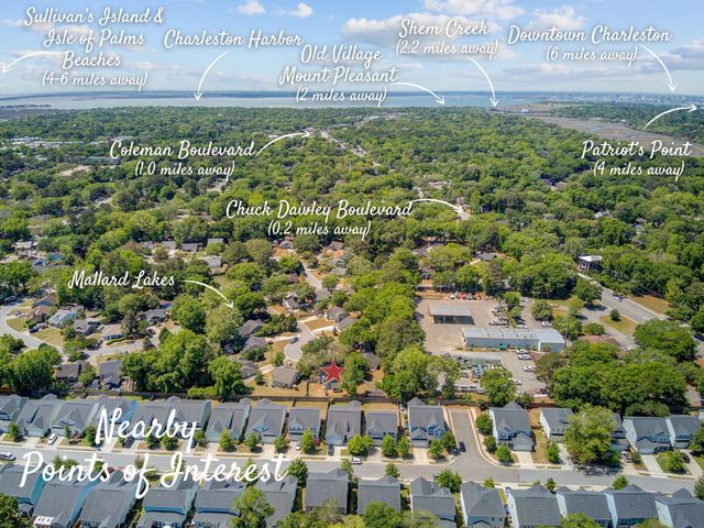 1224 Decoy Court, Mount Pleasant, SC 29464