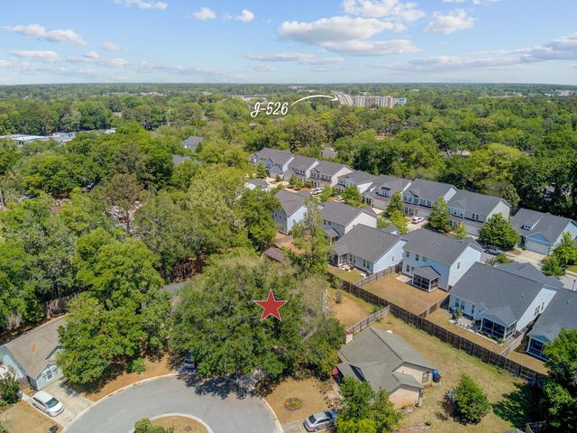 1224 Decoy Court, Mount Pleasant, SC 29464