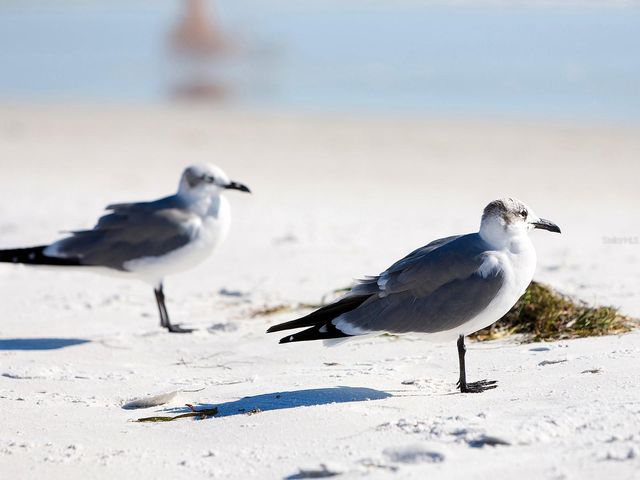 3049 WOOD STREET, Sarasota, FL 34237