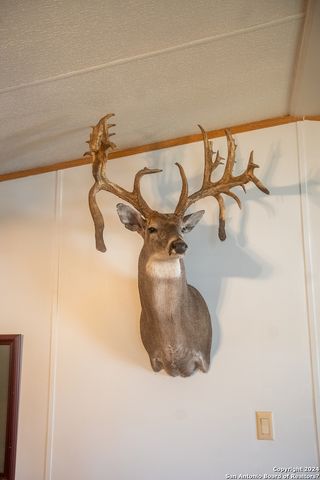 1 FM 334, Brackettville, TX 78832