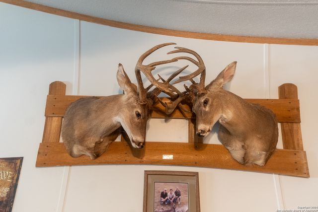 1 FM 334, Brackettville, TX 78832