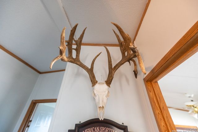 1 FM 334, Brackettville, TX 78832