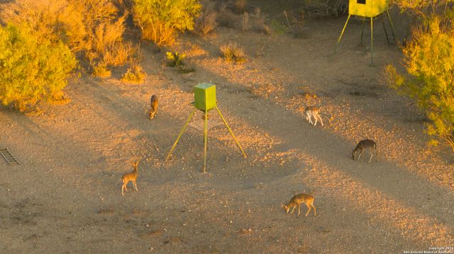 1 FM 334, Brackettville, TX 78832