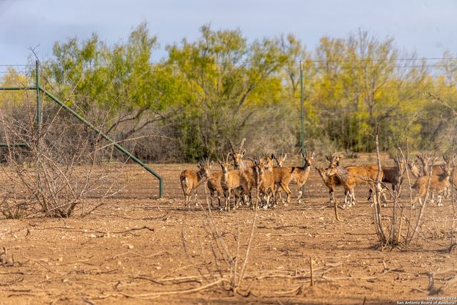 1 FM 334, Brackettville, TX 78832