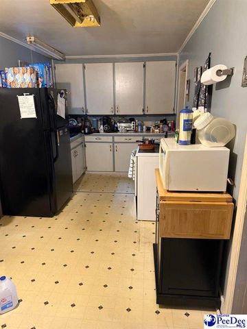 105 Patsy Ln, Cheraw, SC 29520