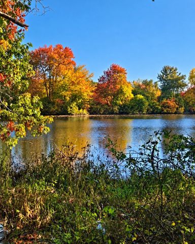 139 Newland St, Norton, MA 02766