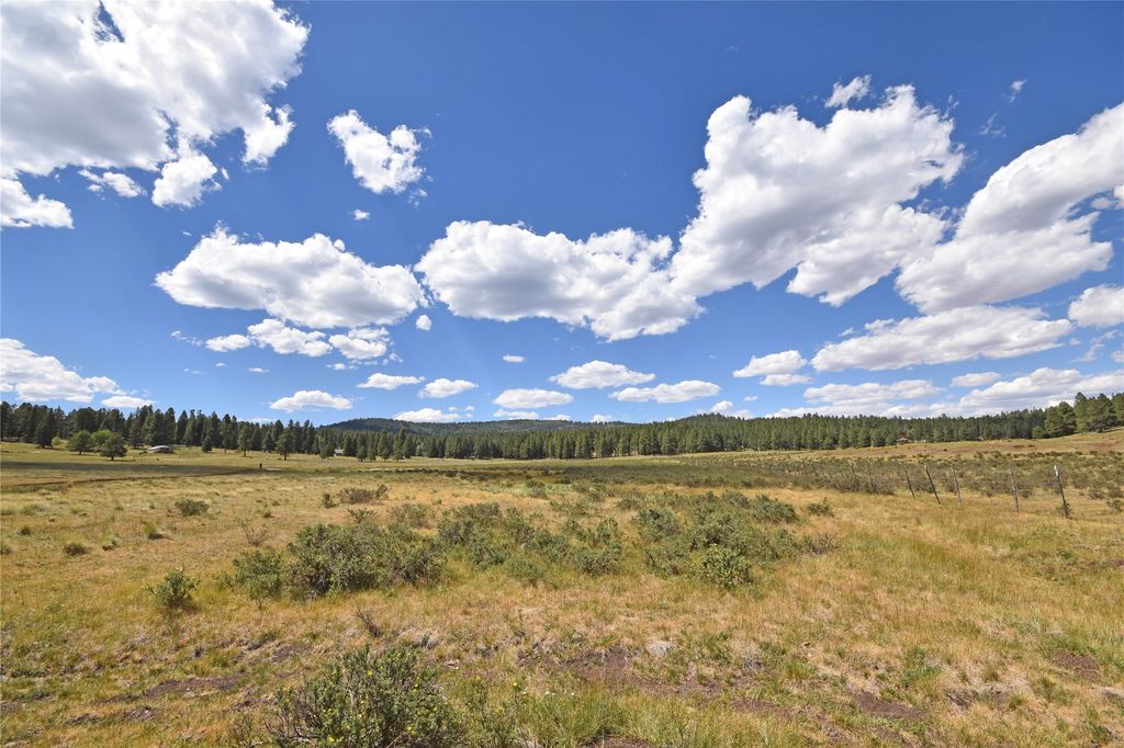 Image 1 of property listing at Tract 4 & A Wetherill Cabin Sites, Coyote, NM 87012