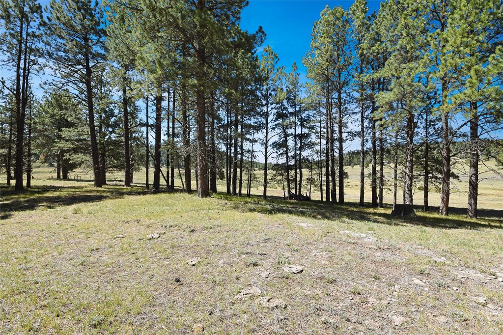 Image 11 of property listing at Tract 4 & A Wetherill Cabin Sites, Coyote, NM 87012