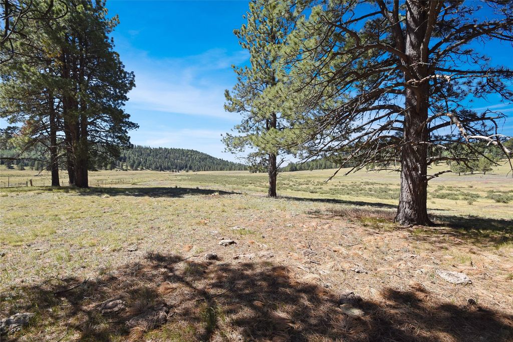 Image 15 of property listing at Tract 4 & A Wetherill Cabin Sites, Coyote, NM 87012