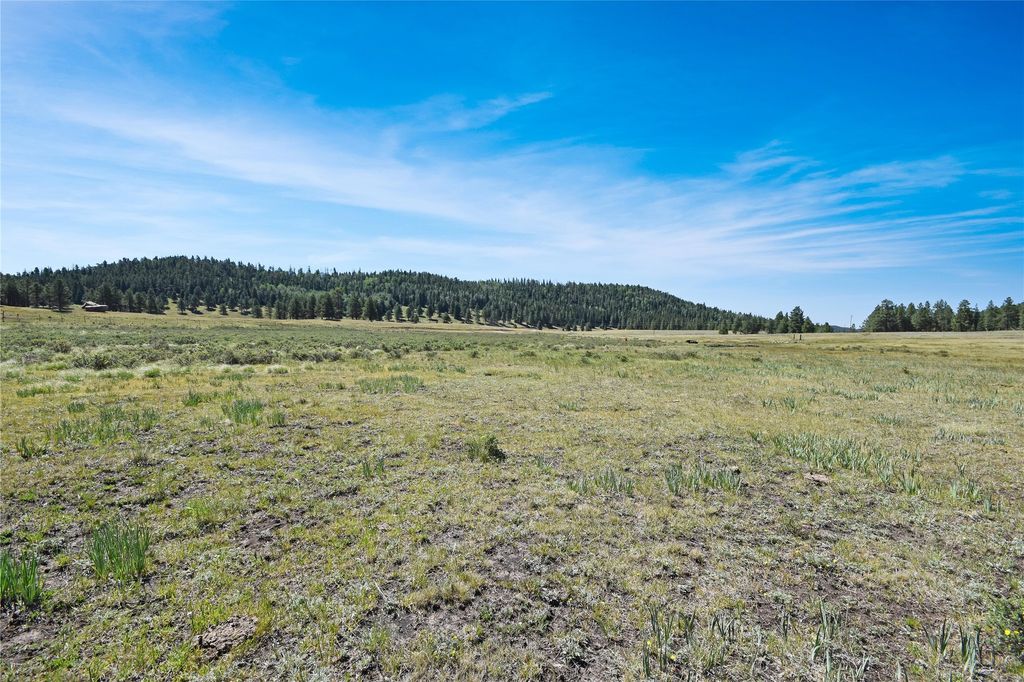 Image 17 of property listing at Tract 4 & A Wetherill Cabin Sites, Coyote, NM 87012