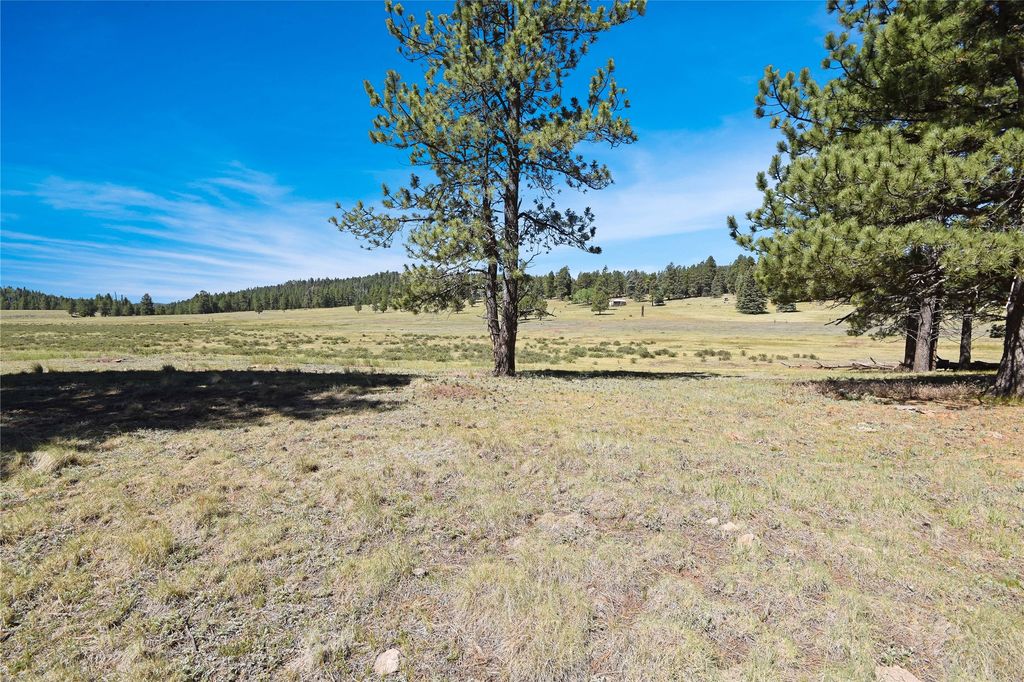 Image 18 of property listing at Tract 4 & A Wetherill Cabin Sites, Coyote, NM 87012