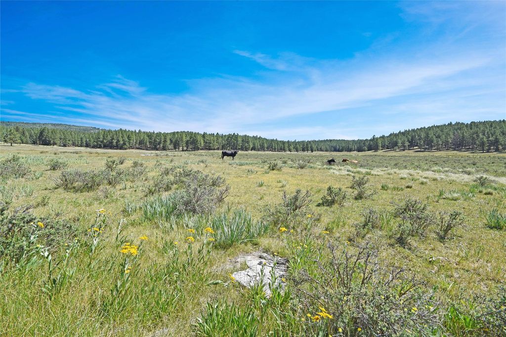 Image 2 of property listing at Tract 4 & A Wetherill Cabin Sites, Coyote, NM 87012