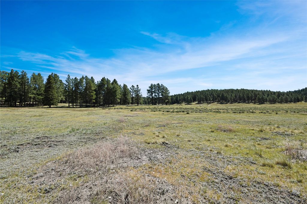 Image 20 of property listing at Tract 4 & A Wetherill Cabin Sites, Coyote, NM 87012
