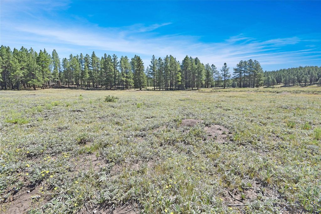 Image 25 of property listing at Tract 4 & A Wetherill Cabin Sites, Coyote, NM 87012
