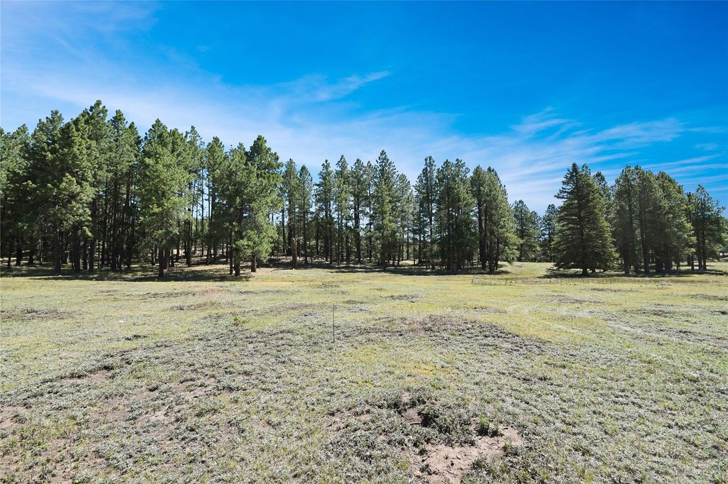 Image 26 of property listing at Tract 4 & A Wetherill Cabin Sites, Coyote, NM 87012