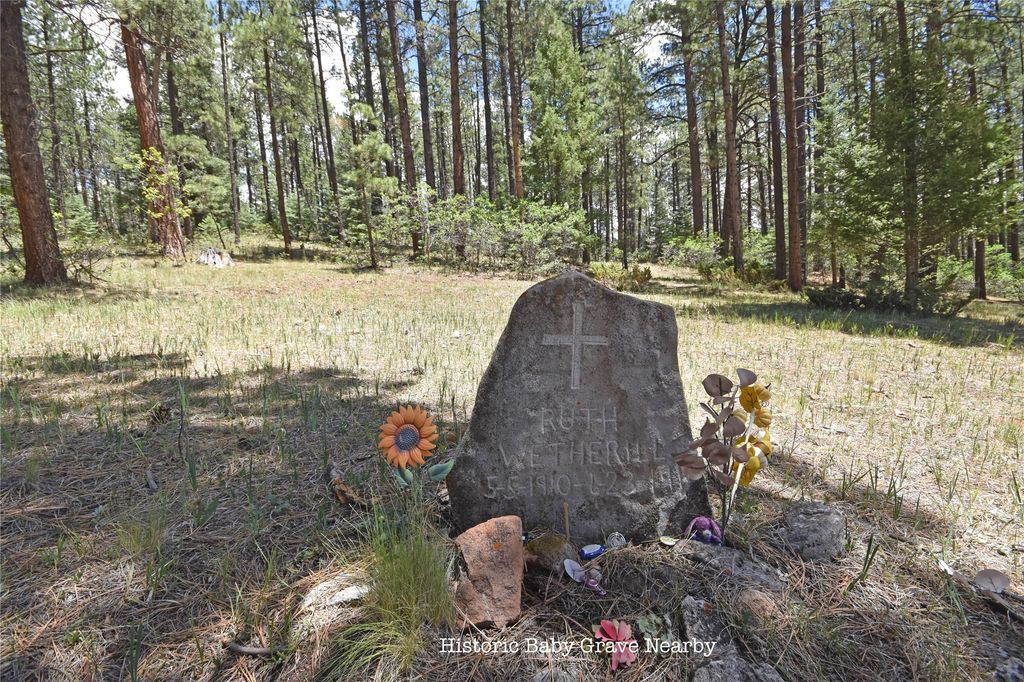 Image 30 of property listing at Tract 4 & A Wetherill Cabin Sites, Coyote, NM 87012