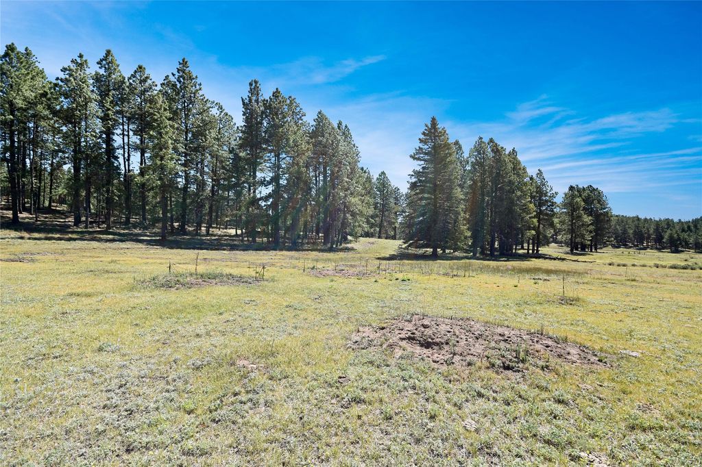 Image 6 of property listing at Tract 4 & A Wetherill Cabin Sites, Coyote, NM 87012
