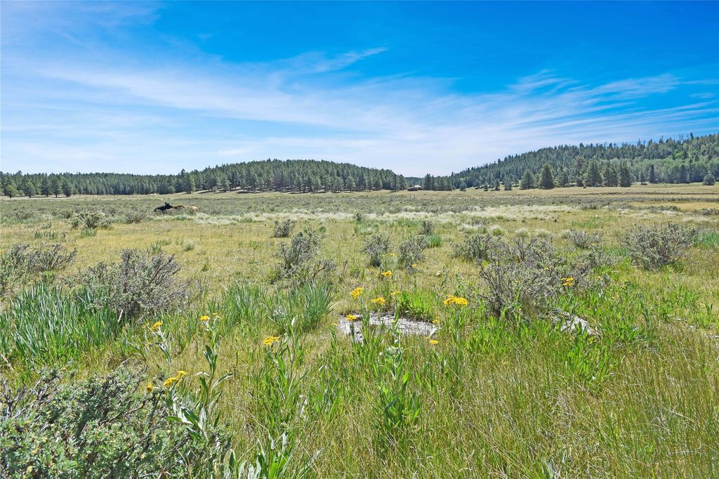 Image 7 of property listing at Tract 4 & A Wetherill Cabin Sites, Coyote, NM 87012