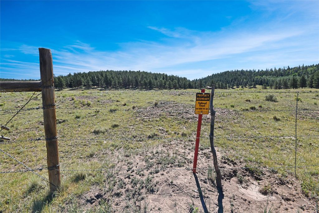 Image 9 of property listing at Tract 4 & A Wetherill Cabin Sites, Coyote, NM 87012
