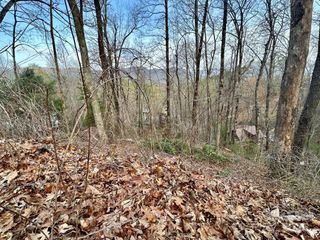 Lot 6 Biltmore Circle 6, Bryson City, NC 28713