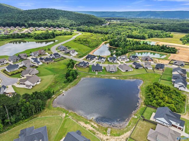 7813 Lake Walk Way, Owens Cross Roads, AL 35763