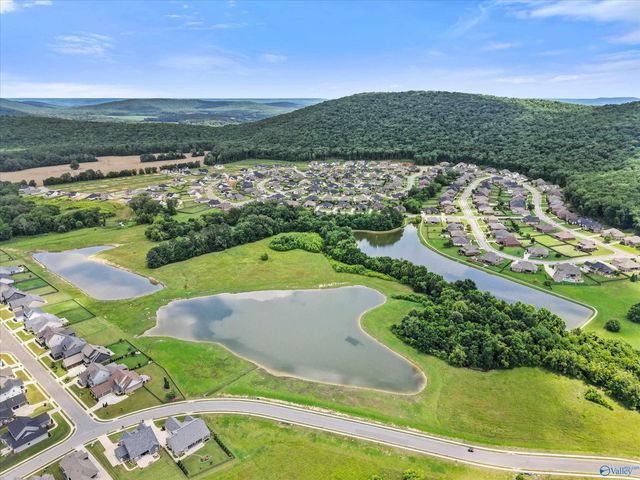 7813 Lake Walk Way, Owens Cross Roads, AL 35763