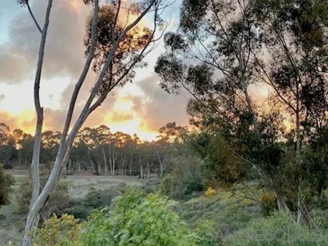 2835 Hillsboro Ct, Carlsbad, CA 92010