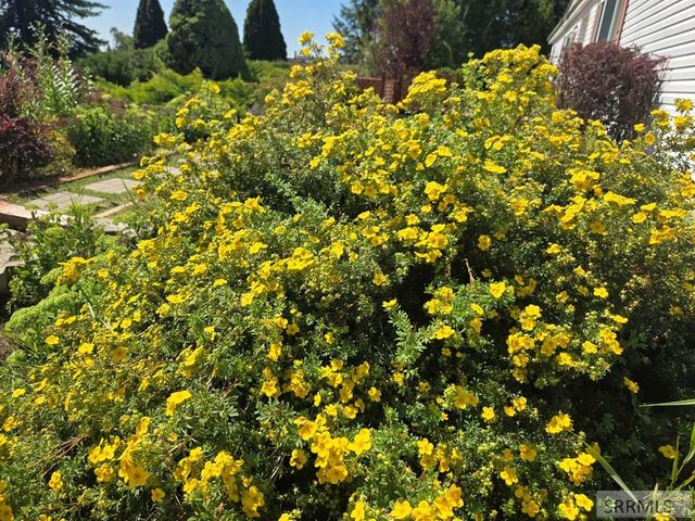 371 N 1900 E, St Anthony, ID 83445