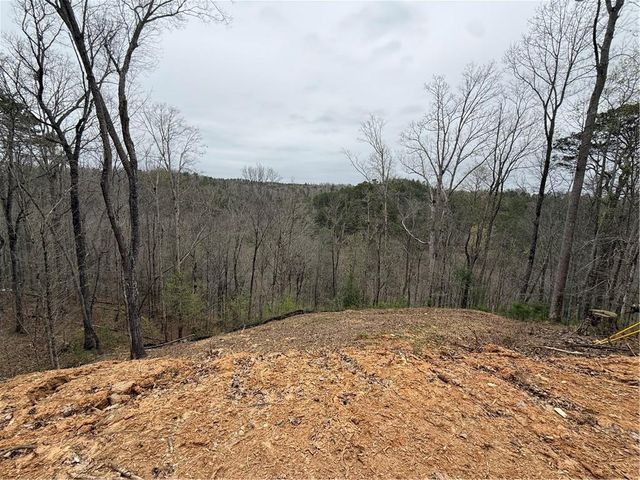 135 Flat Ridge Road, Ellijay, GA 30540