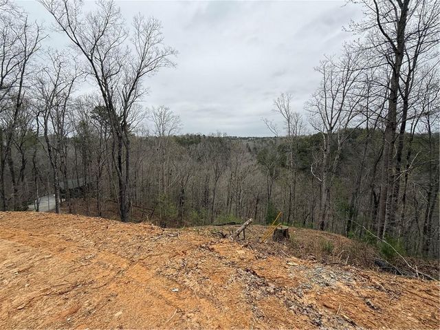 135 Flat Ridge Road, Ellijay, GA 30540