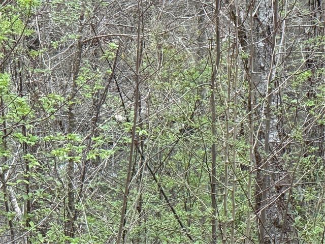 135 Flat Ridge Road, Ellijay, GA 30540