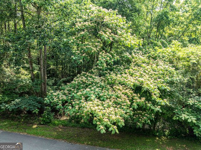 LOT 076 Cardinal Drive, Monticello, GA 31064