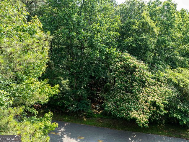 LOT 076 Cardinal Drive, Monticello, GA 31064