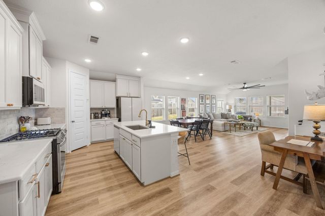 19763 Ibiza Park Drive, Hockley, TX 77447