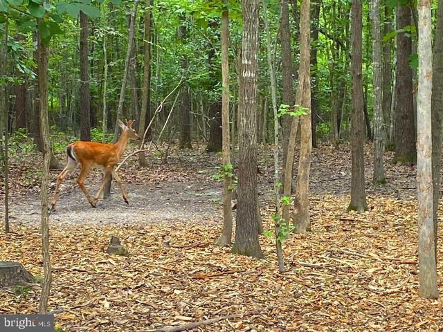 45 SAINT MARYS LN, Stafford, VA 22556