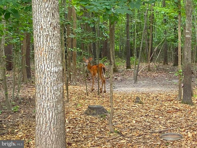 45 SAINT MARYS LN, Stafford, VA 22556