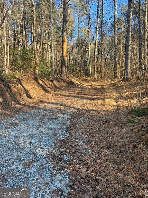 0 Sylvan Lake Drive 47,48, Rabun Gap, GA 30568 — photo 2