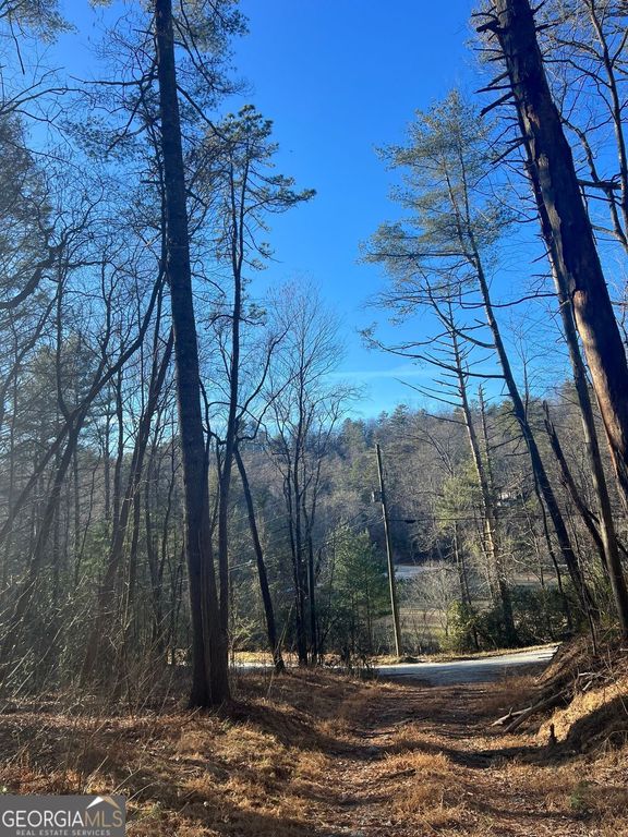 0 Sylvan Lake Drive 47,48, Rabun Gap, GA 30568 — photo 3