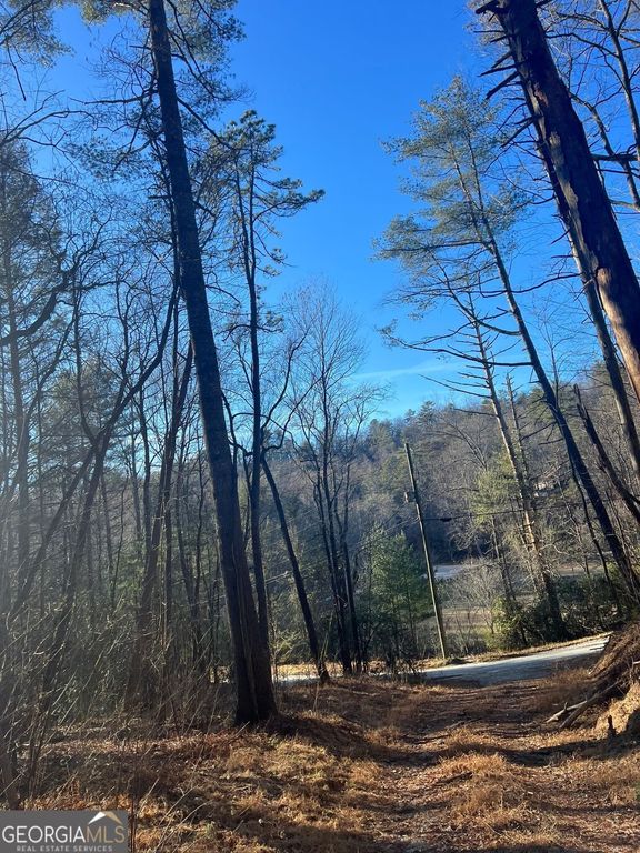 0 Sylvan Lake Drive 47,48, Rabun Gap, GA 30568 — photo 4