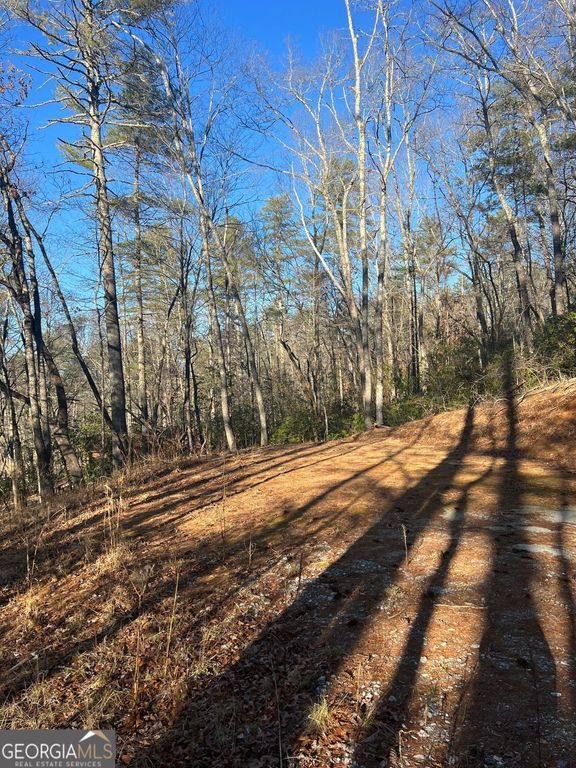 0 Sylvan Lake Drive 47,48, Rabun Gap, GA 30568 — photo 5